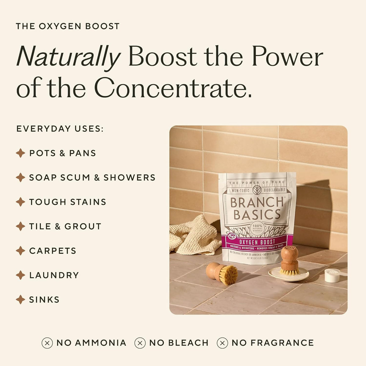 Branch Basics Concentrate (33.8 oz) + Oxygen Boost (2 lbs) | Multi-Surface All Purpose Cleaner Concentrate + Natural Stain Remover, Grout Cleaner | Human-Safe, Fragrance Free