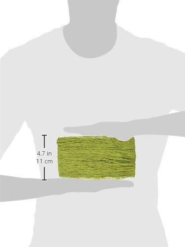 Beistle Decorative Fish Netting, 4 by 12-Feet (Pack of 2)