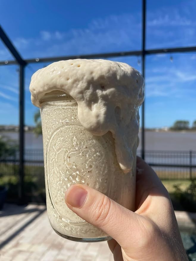 Generic Organic Einkorn Fresh Sourdough Starter Live Active 1850's 100 Grams in Glass Ball Mason Jar