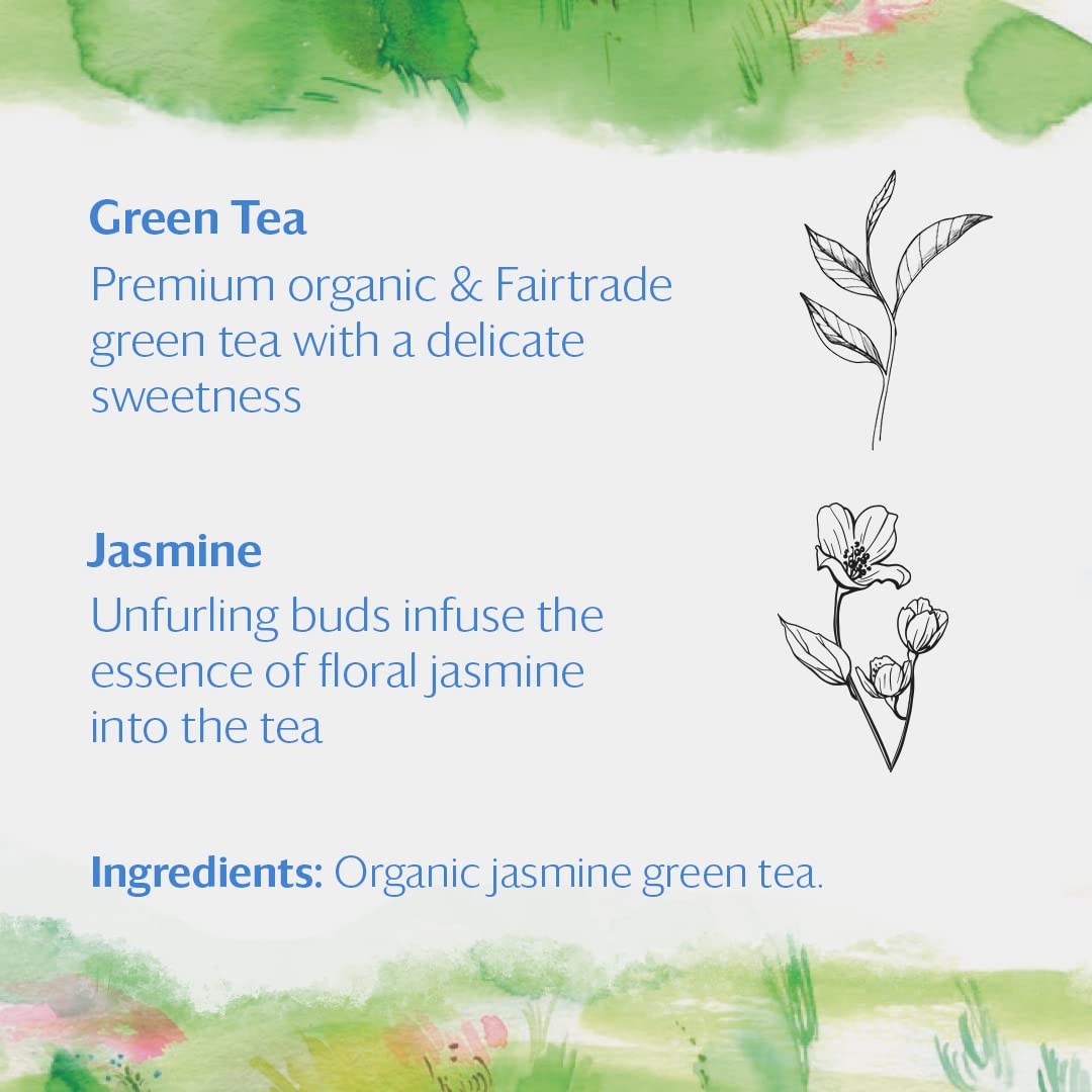 Grace Farms Organic Jasmine Green Tea (50 Pyramid Sachets), Fragrant and Sweet, Fairtrade and Kosher Certified, Best Green Tea