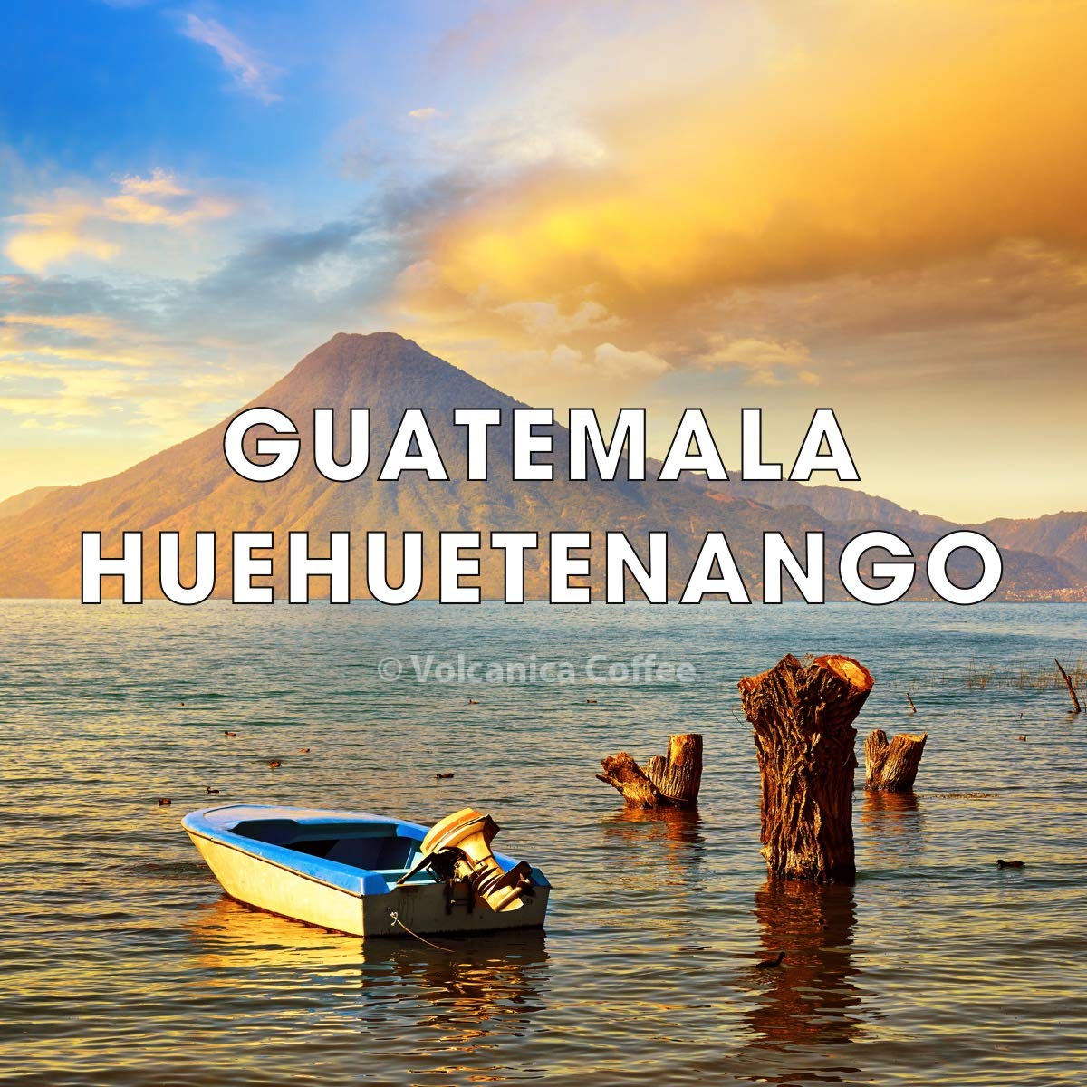 Guatemala Coffee, Huehuetenango, Whole Bean, Medium Roast, Fresh Roasted, 16-ounce