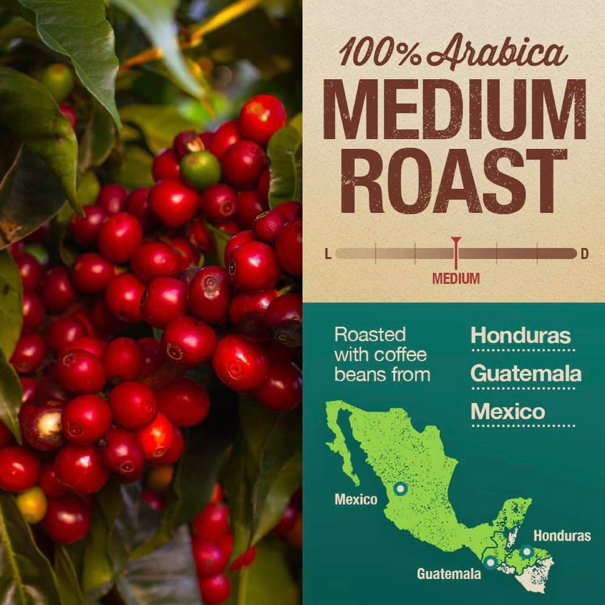 Mayorga Organic Coffee 2lb Mayan Blend - Medium Roast Whole Bean Coffee Specialty Grade, 100% Arabica, Slow Roasted