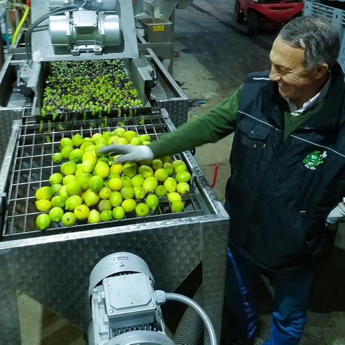 Galbasa - Organic Lemon Oil from Sicily, Italy - First Cold Pressed Extra Virgin Olive Oil and Fresh Lemons - Polyphenol Rich, No Pesticides