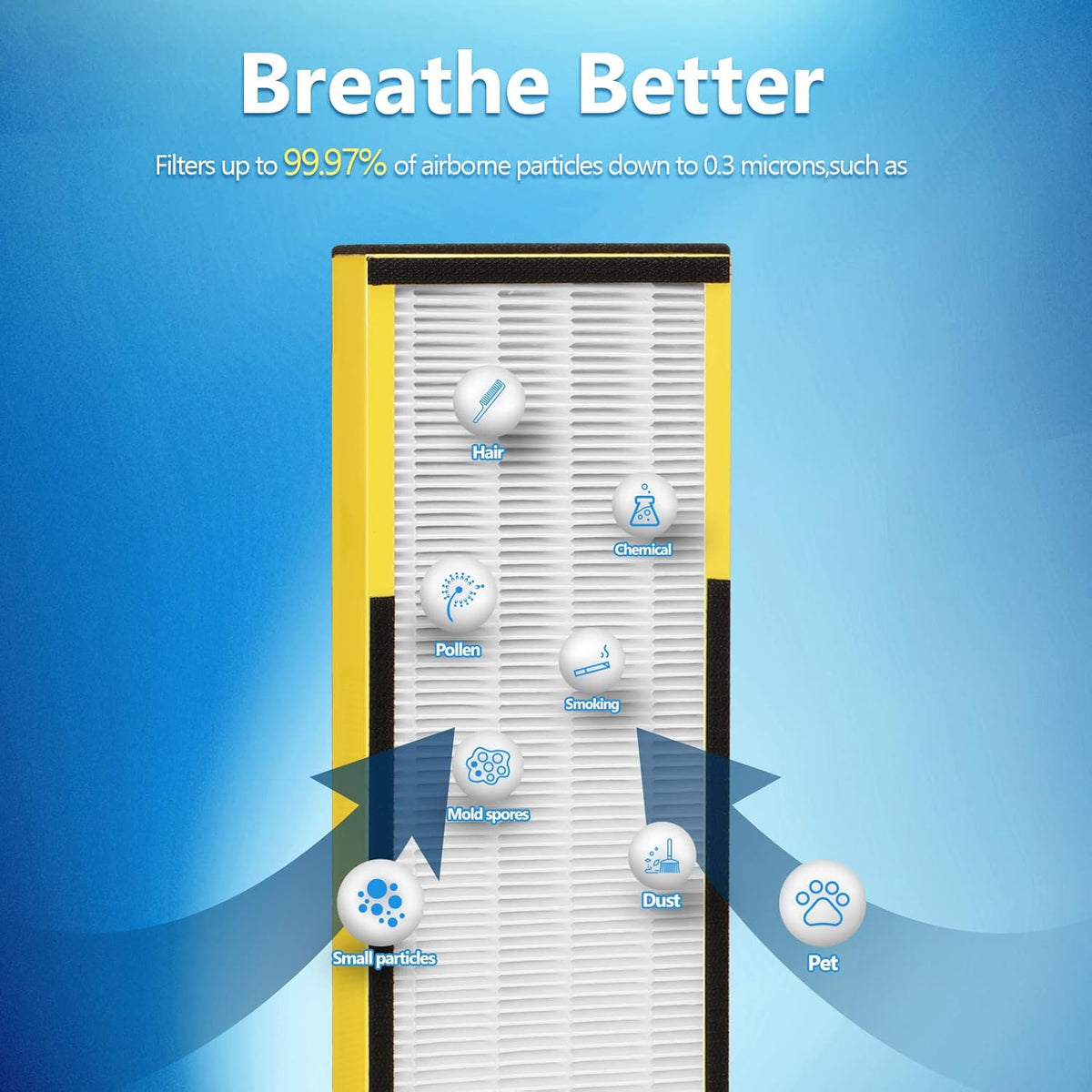 6 Packs FLT4825 H13 True HEPA Replacement Filter B Compatible with AC4300BPTCA, CDAP4500BCA, AC4825, AC4850PT, AC4820, AP2200CA Air Cleaner Purifier