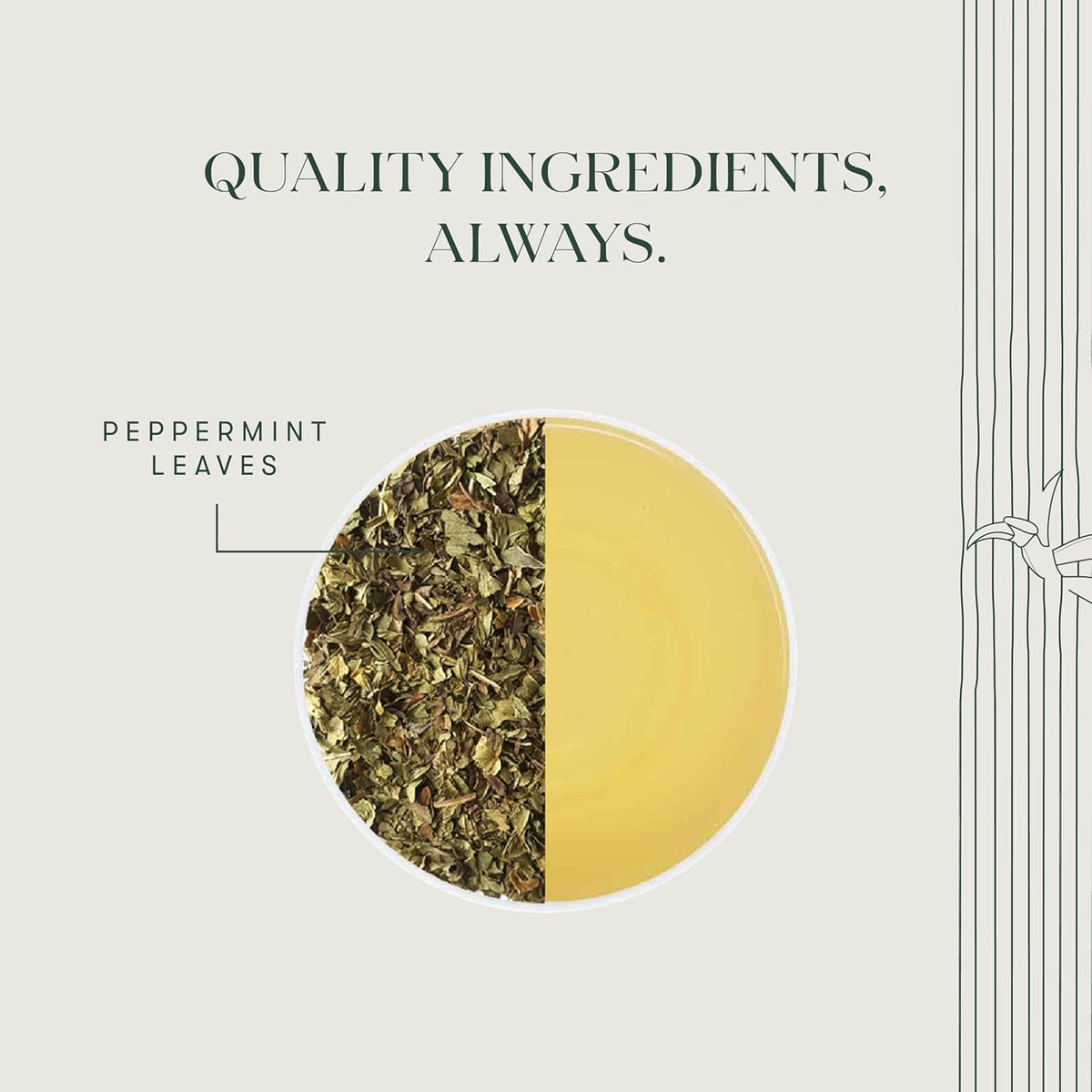 Luxmi Estates Purely Peppermint 25gm Tin, USDA Certified Organic Herbal Tea, Mint Tea Best for Night Time
