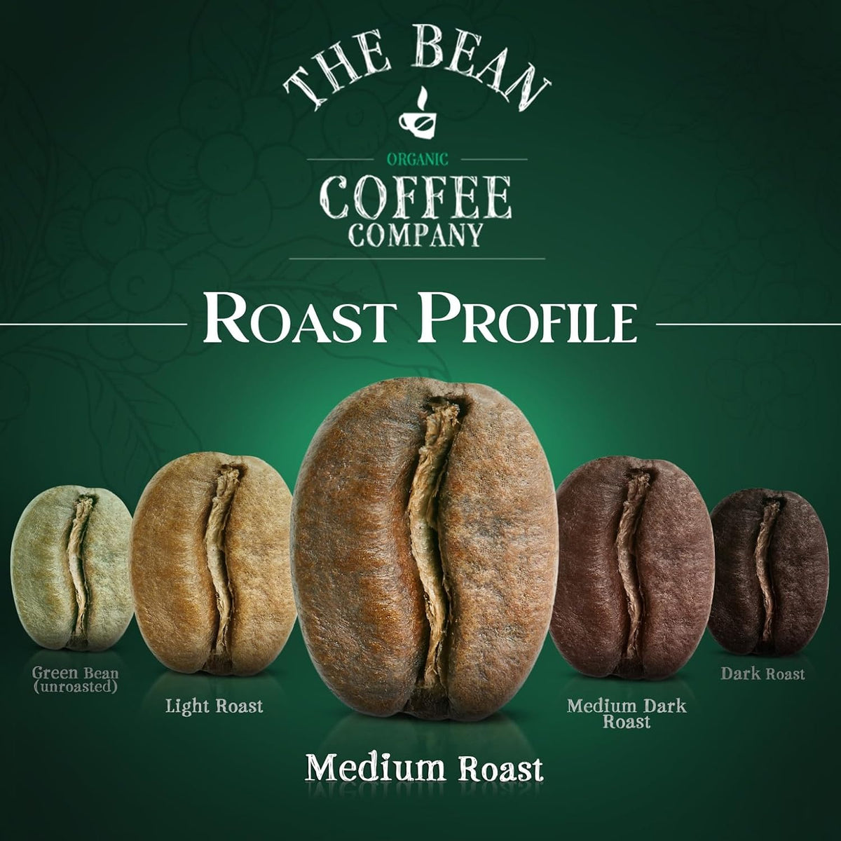The Bean Organic Coffee Co. South America Blend, Medium, Ground, 2 x 1 lb | Smooth, well-balanced South American blend. Organic ground coffee. Medium Roast. 2 x 1 lb.