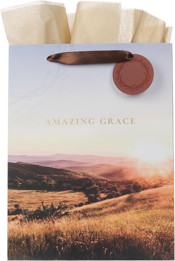 Christian Art Gifts Large Portrait Inspirational Faith-inspired Gift Bag, Tag & Wrapping Tissue Paper Set for Men & Women: Amazing Grace, Sturdy Satin Ribbon Handles, Sunny Multicolor Scenic Landscape