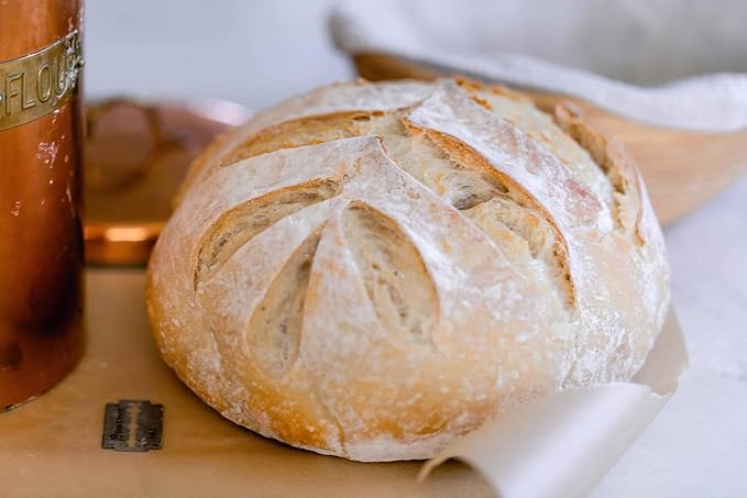 Generic Organic Einkorn Fresh Sourdough Starter Live Active 1850's 100 Grams in Glass Ball Mason Jar