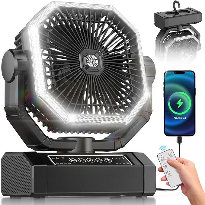 Portable Rechargeable Fan - 9-Inch Camping Fan for Tent, 24000mAh(60Hrs) Battery Operated Fan for Camping, Auto Oscillation Cordless Fans, Tent Fans with Remote/Light, 4 Speeds, 4 Timing, Outdoor