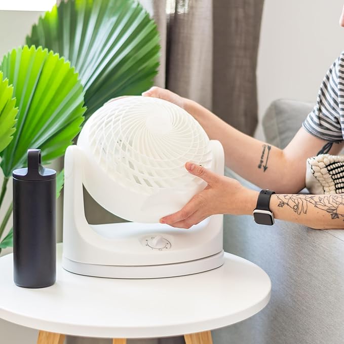 IRIS USA WOOZOO Desk Fan, Oscillating Air Circulator, 3 Speeds, 36ft Max Air Distance, 244ft² Coverage, 112° Adjustable Vertical Tilt, 29db Quiet Motor, Small Fan for Bedroom, Office, Dorm, White