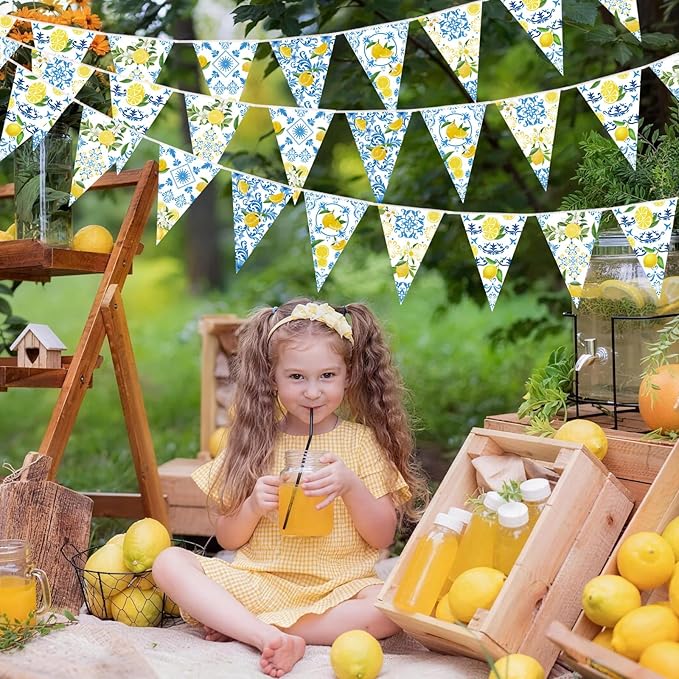 6 Pack Blue Tiles Lemon Party Banner Capri Lemon Pennant Banner Pre-Strung Summer Lemonade Triangle Flag Bunting Garland for Wedding Birthday Bridal Shower Bachelorette Party Decorations