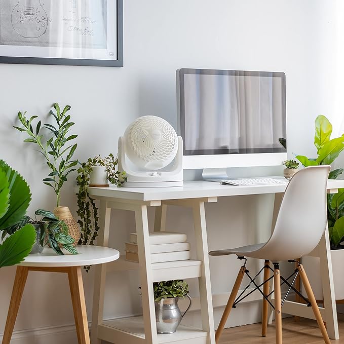 IRIS USA WOOZOO Desk Fan, Oscillating Air Circulator, 3 Speeds, 36ft Max Air Distance, 244ft² Coverage, 112° Adjustable Vertical Tilt, 29db Quiet Motor, Small Fan for Bedroom, Office, Dorm, White