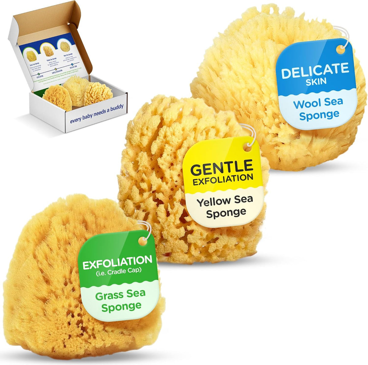 Baby Buddy Baby Bath 4in Assorted Sea Sponges, Absorbent Natural Sea Sponge, Soft on Tender Skin, Biodegradable, Hypoallergenic, Bath Accessories for Bathing, 3 Pack