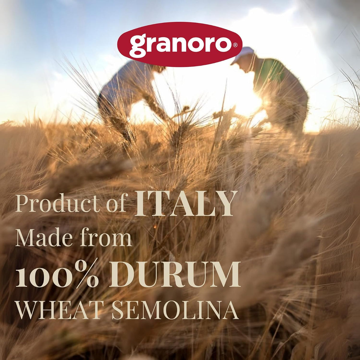 Granoro Dedicato Penne BIrigate (Double Ridged) #259 - Authentic Italian Pasta, Made from 100% Puglia Durum Wheat Semolina, Bronze Die, Non-GMO, Vegan, 1 lb Bags (Pack of 3)