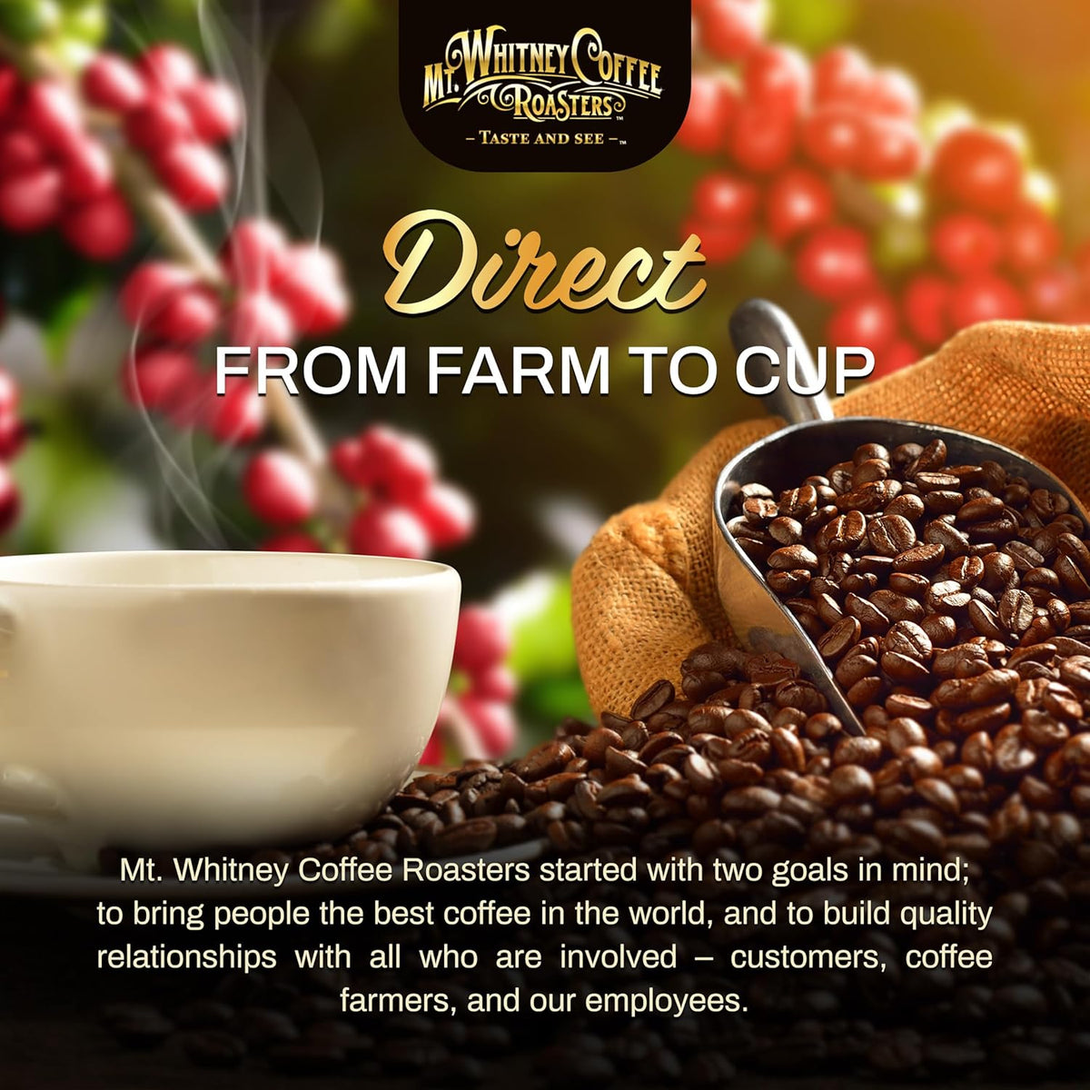 Mt. Whitney Base Camp Blend Coffee Beans - Medium Dark Roast Coffee, Low Acid Coffee - Ground Coffee, 12 oz