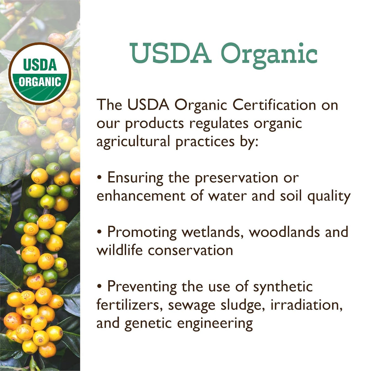 Fresh Roasted Coffee, Organic Honduran Marcala, USDA Organic, 100% Single Origin, Kosher, Medium Roast 2 lb (32 oz) Ground