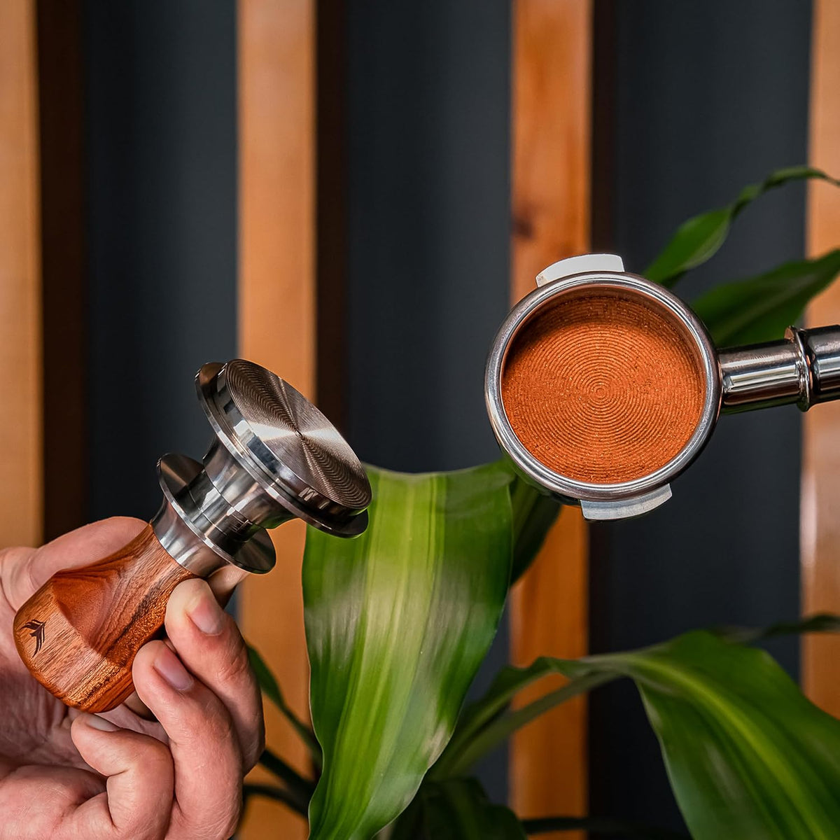 51mm Espresso Tamper Set Includes Knock Box, Coffee Distributor, Calibrated Tamper, WDT Tool and Portafilter Wall Holder - Premium Espresso Machine Accessories Set